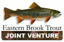 Eastern Brook Trout Joint Venture