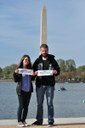 These two alewives have traveled a long way, beating the DC traffic and the spring tourists, to see the famous Washington Monument.