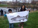 Big Atlantic salmon has leaped over Holyoke Dam and arrived in Hadley!