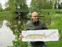 This is Henk Wilmink, Friesland, the Netherlands and a migratory fish