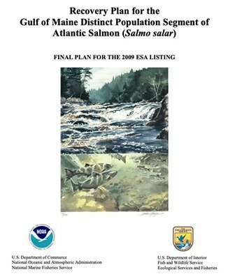 Atlantic Salmon Recovery Plan 