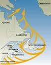 Diagram that shows the migration route of Atlantic salmon.